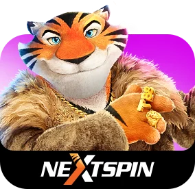nextspin-provider
